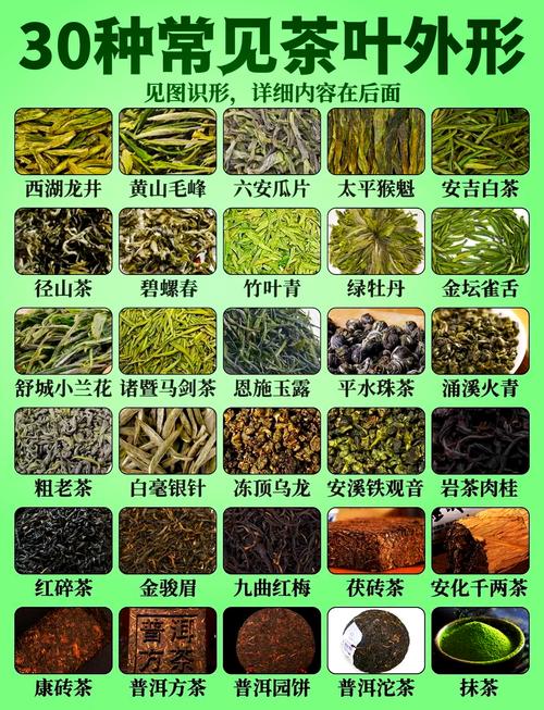 现在种植经济茶叶品种前景如何？-图1