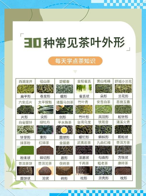 现在种植经济茶叶品种前景如何？-图3