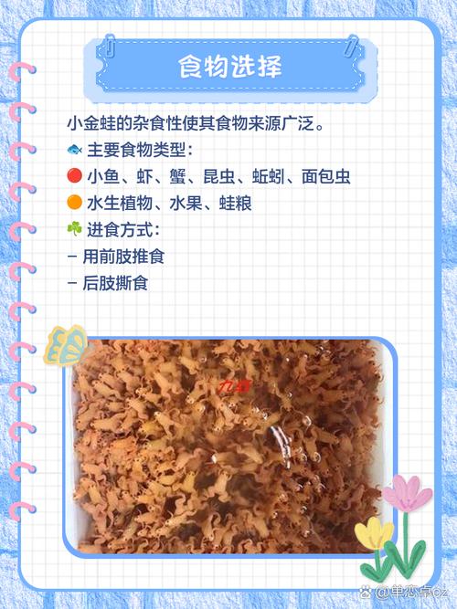 青蛙养殖技术要点有哪些？-图1