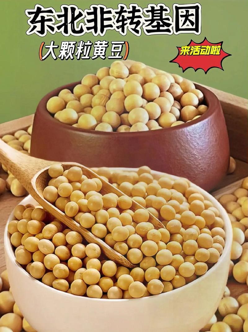 大豆哪个品种耐涝东北-图2