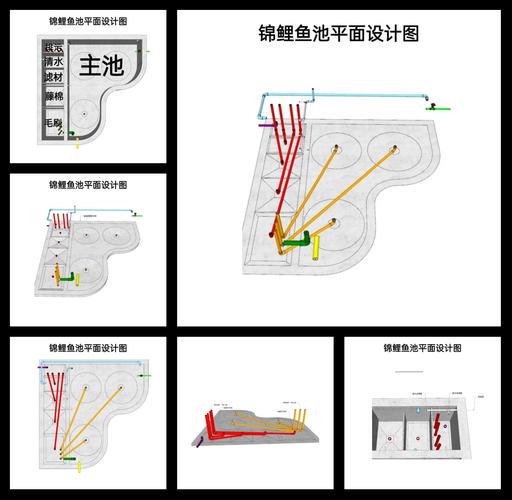 池塘养鱼技术入门，新手该从哪学起？-图1