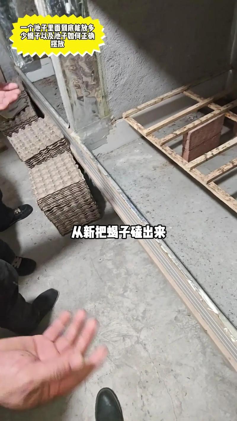 郑州药用蝎子养殖技术难点有哪些？-图2