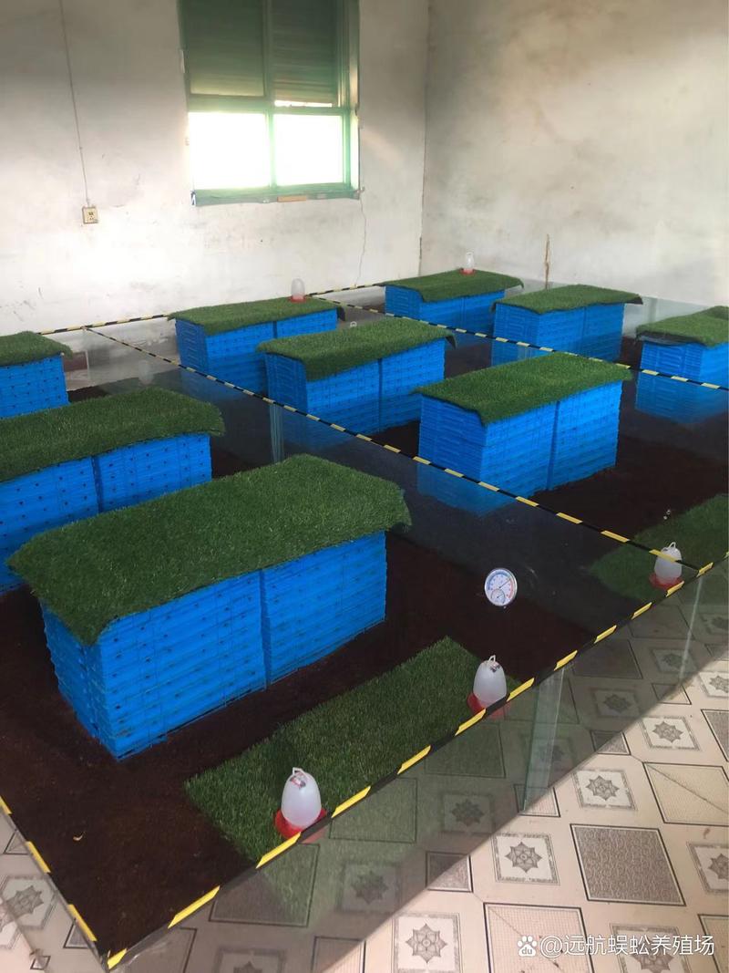 东北蜈蚣养殖技术视频怎么学？-图1