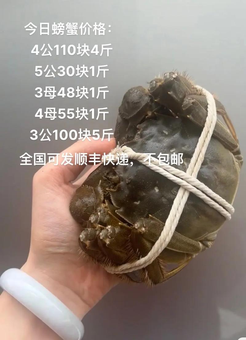 河蟹最新价格多少钱一斤？-图1