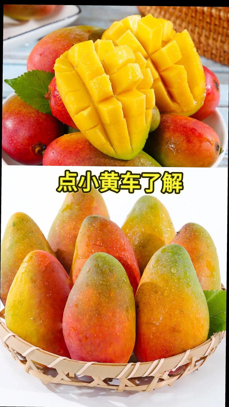 海南芒果今年价格走势-图1