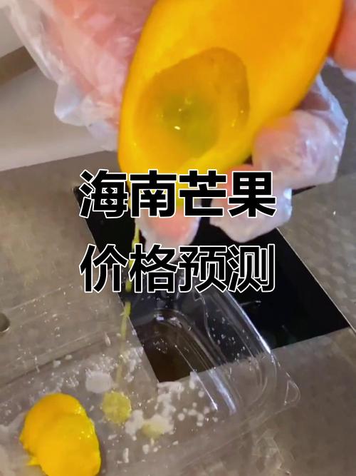 海南芒果今年价格走势-图2