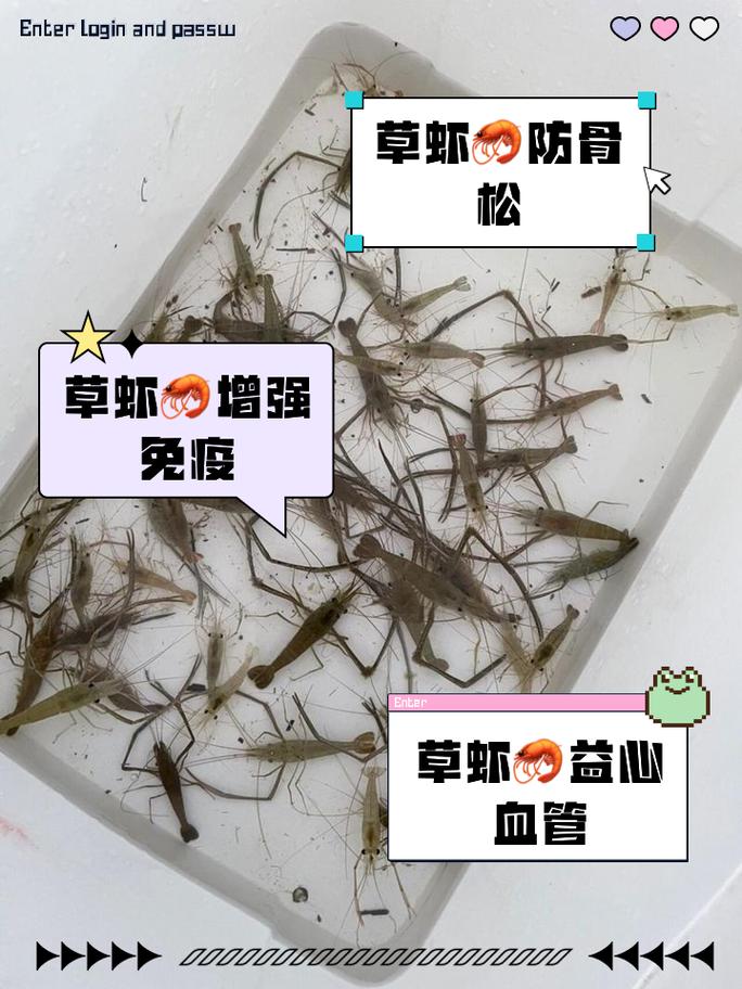 草虾养殖管理技术视频-图3