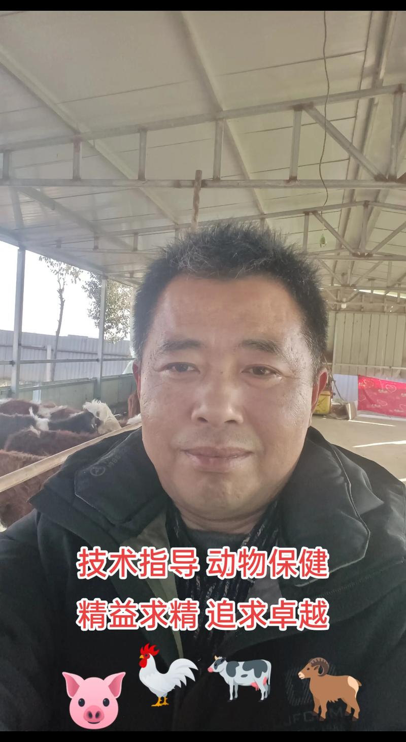 养牛技术教程全集视频，新手能学会吗？-图2