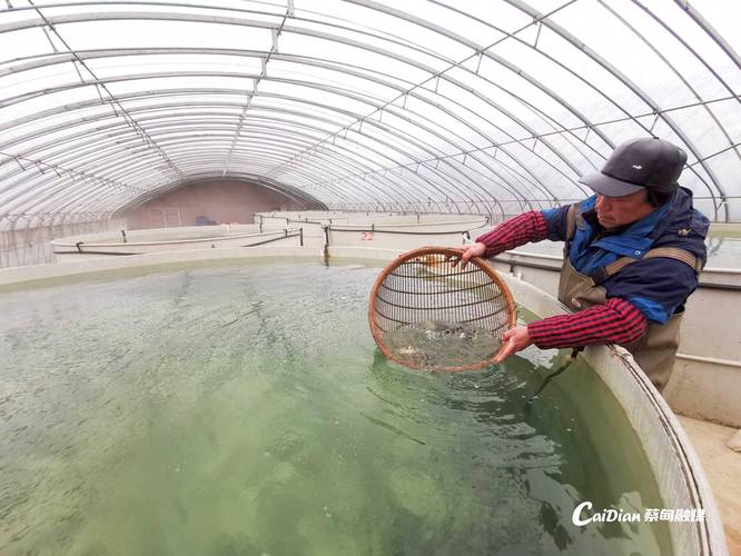 冬天室内水产养殖如何控温提效益？-图2