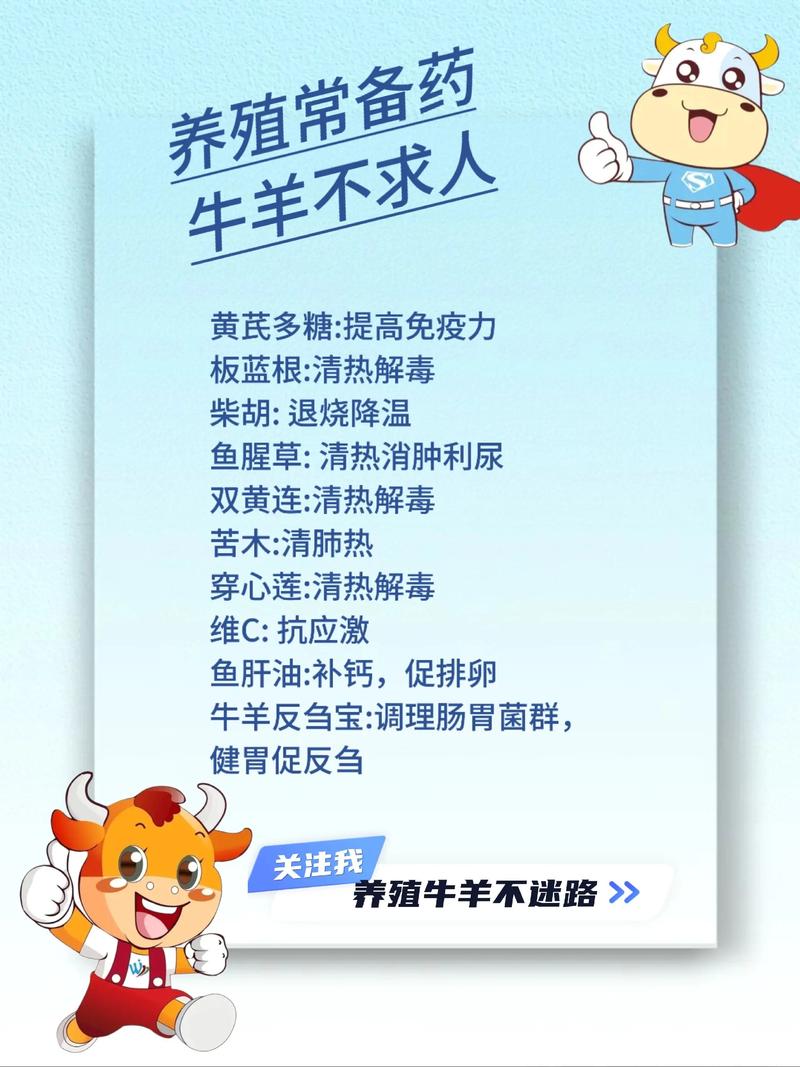 肉牛饲养管理技术核心要点有哪些？-图3