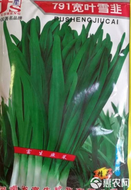 中国最抗寒韭菜品种是哪个？-图2