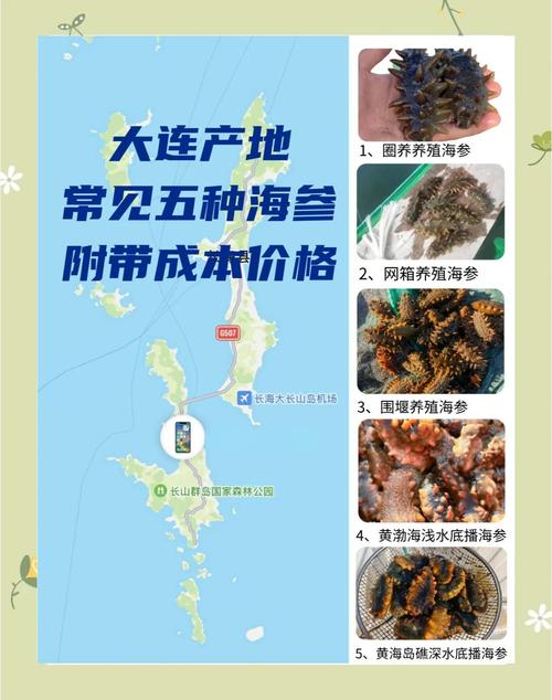 2025年海参苗价格会涨还是跌？-图2