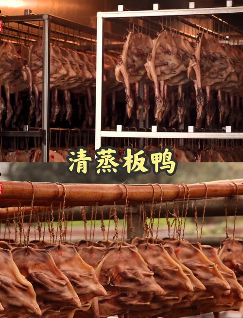 板鸭育肥饲养方法技术-图2