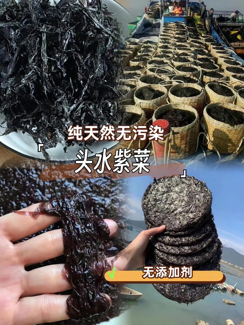 2025紫菜价格会涨还是跌？-图1