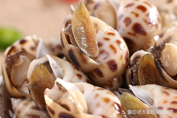 长期养殖活海鲜有哪些常见品种？-图1