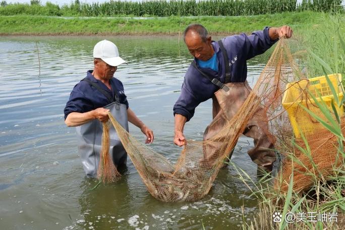 河虾养殖技术视频讲解-图3