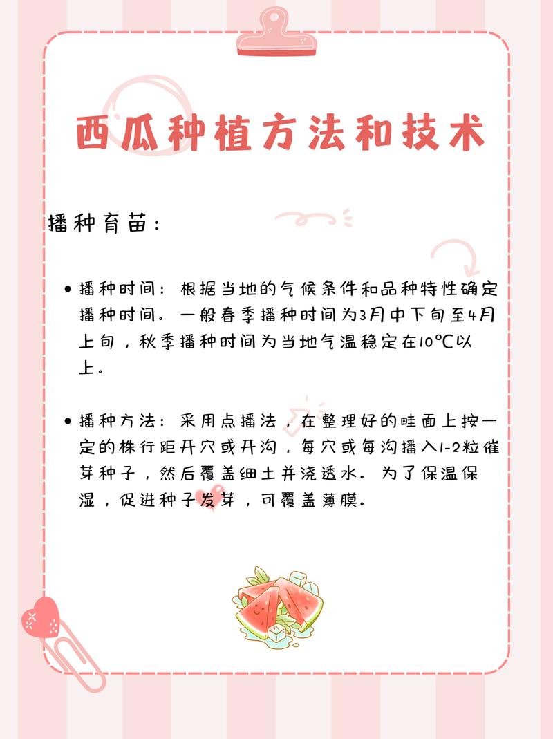 西瓜种植视频教程，关键步骤有哪些？-图2