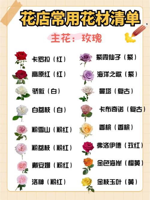 花卉品种名称大全有哪些？-图2