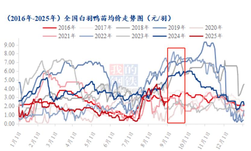 2025肉鸭价格会涨还是跌？-图1