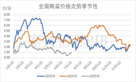 2025肉鸭价格会涨还是跌？-图2
