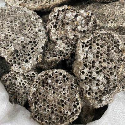 怎么买到蜂巢价格多少-图1