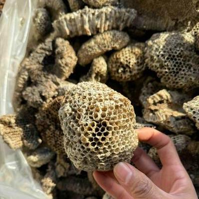 怎么买到蜂巢价格多少-图2