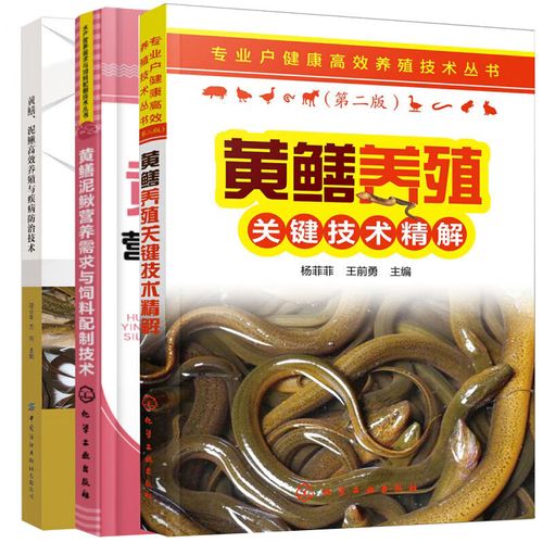 泥鳅养殖如何有效预防疾病？-图2