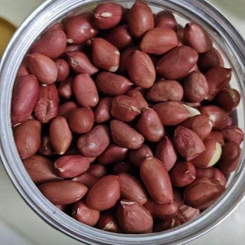 今日吉林花生价格最新行情如何？-图1