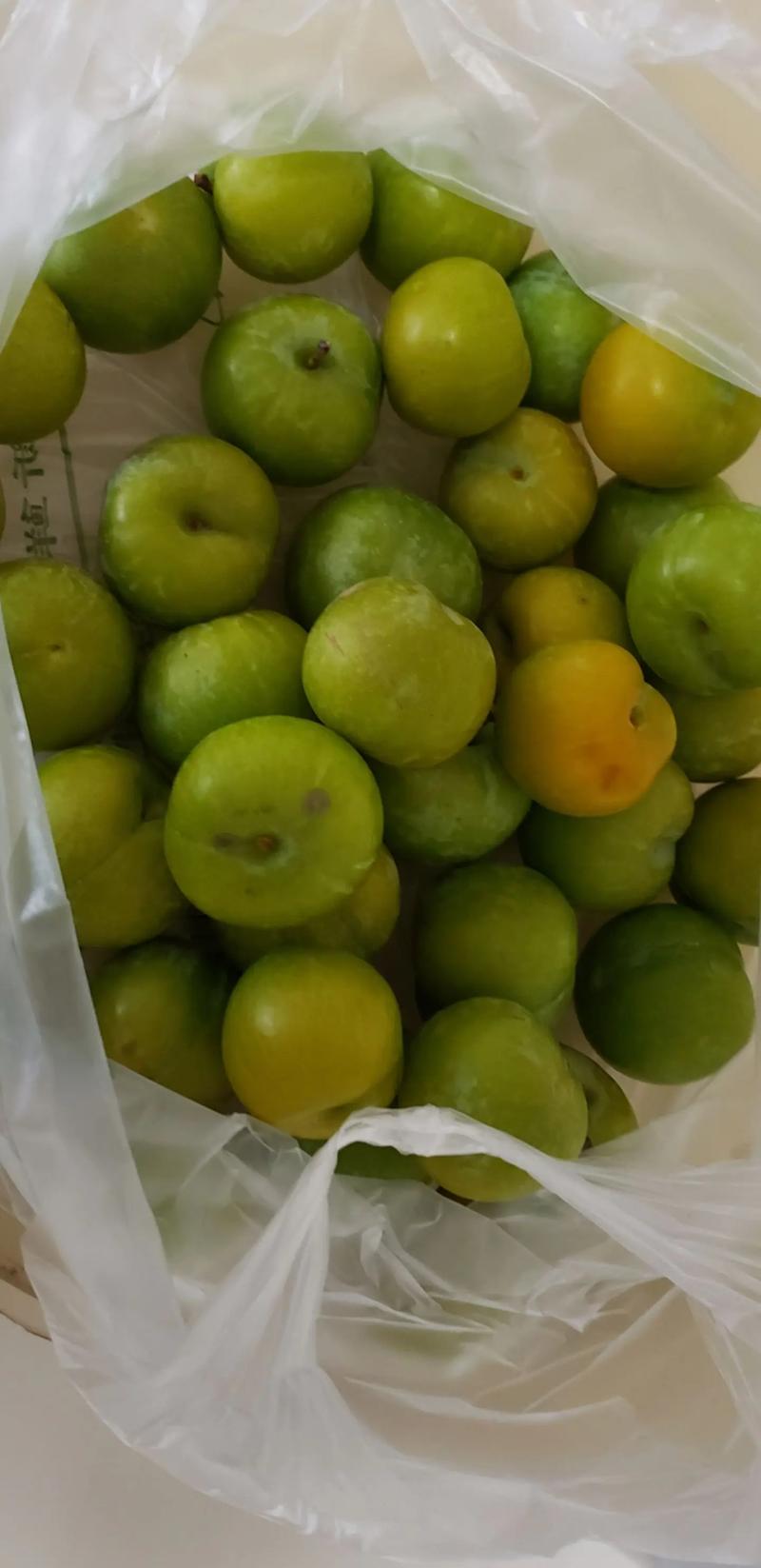 小个李子有哪些品种？-图2