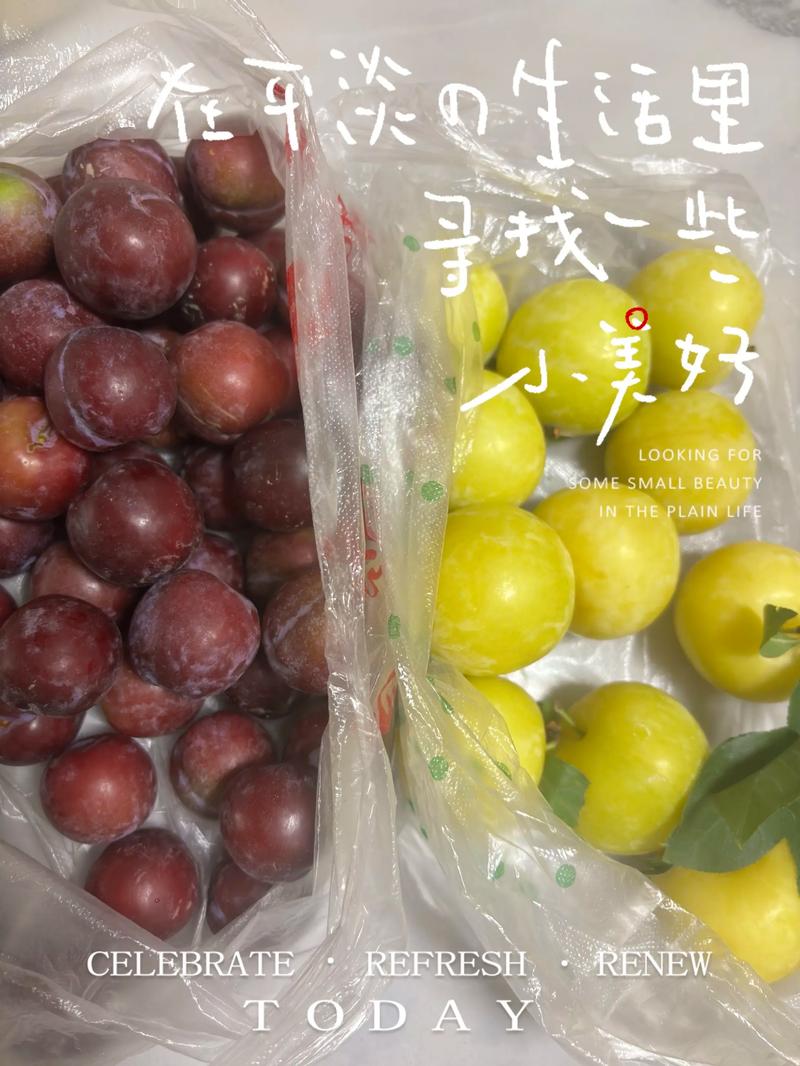 小个李子有哪些品种？-图3