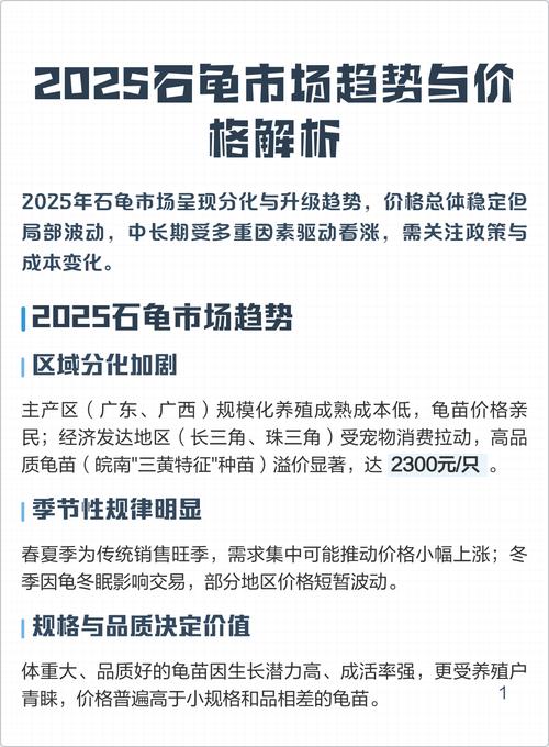 南宁石龟2025价格会涨还是跌？-图1