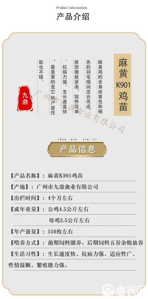 2012年肉鸡苗价格为何波动？-图3