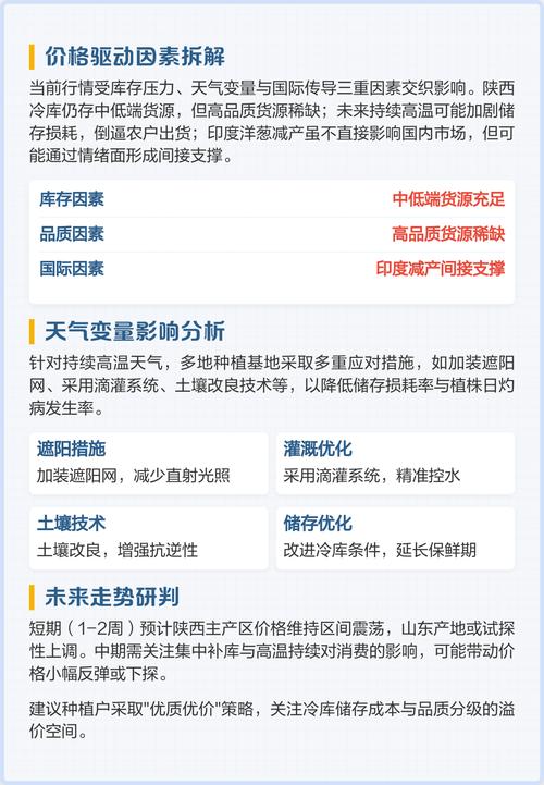 2025年洋葱苗价格会涨还是跌？-图1