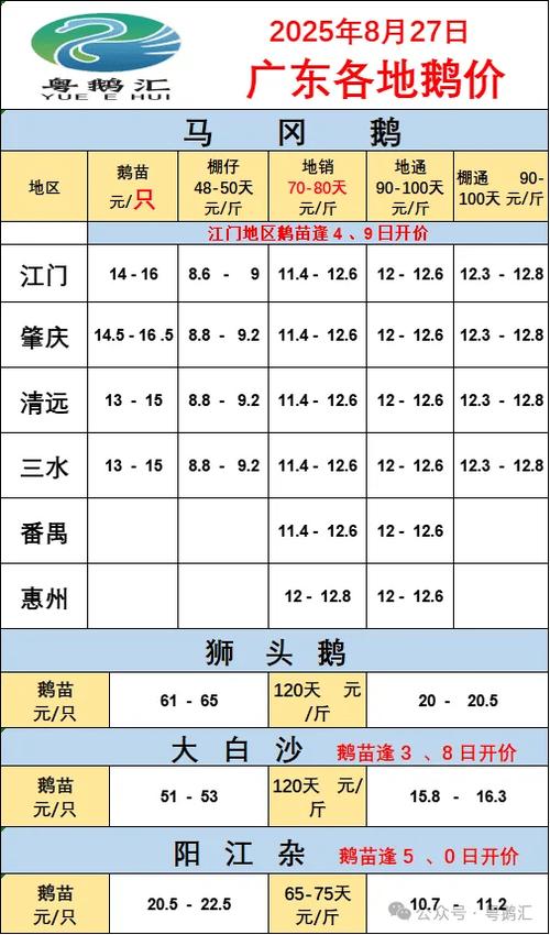 2025毛鸭行情价格会涨还是跌？-图2