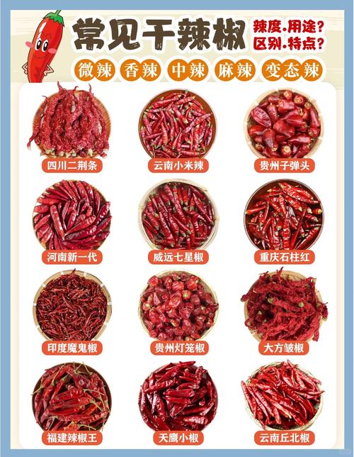 辣椒品种名称有何作用？-图2