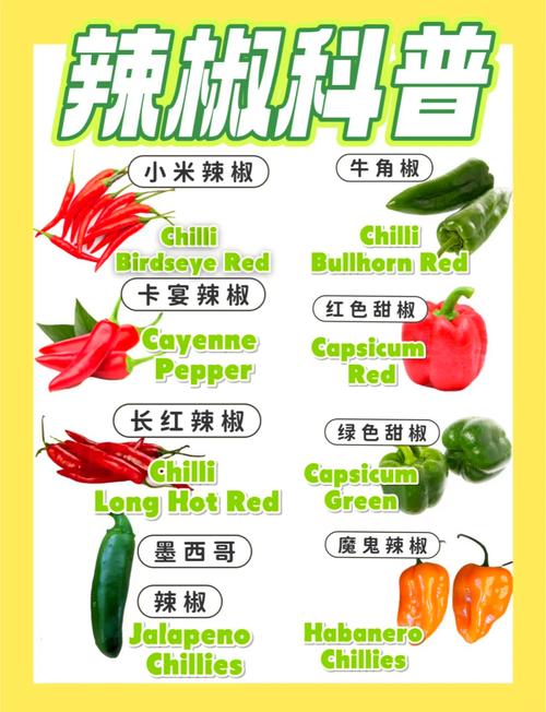 辣椒品种名称有何作用？-图3
