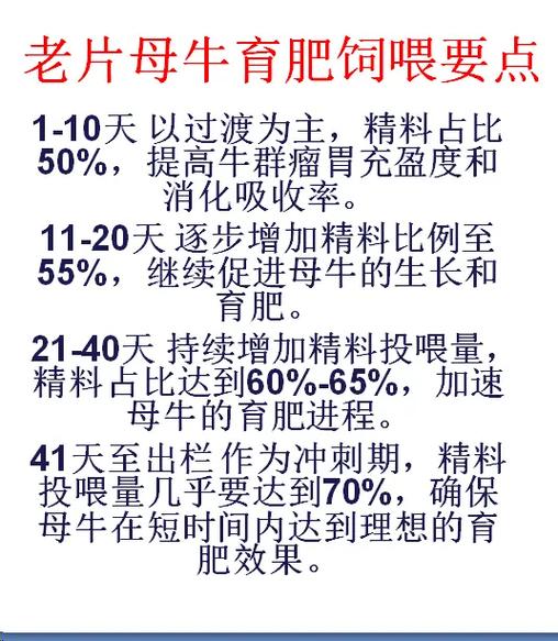 美国肉牛快速育肥技术有哪些核心要点？-图1