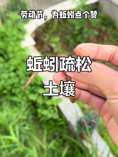 蚯蚓养殖视频全集，从入门到精通怎么学？-图2