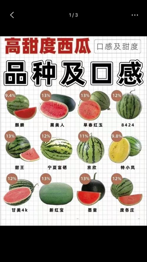 哪些西瓜品种更优质高产？-图1