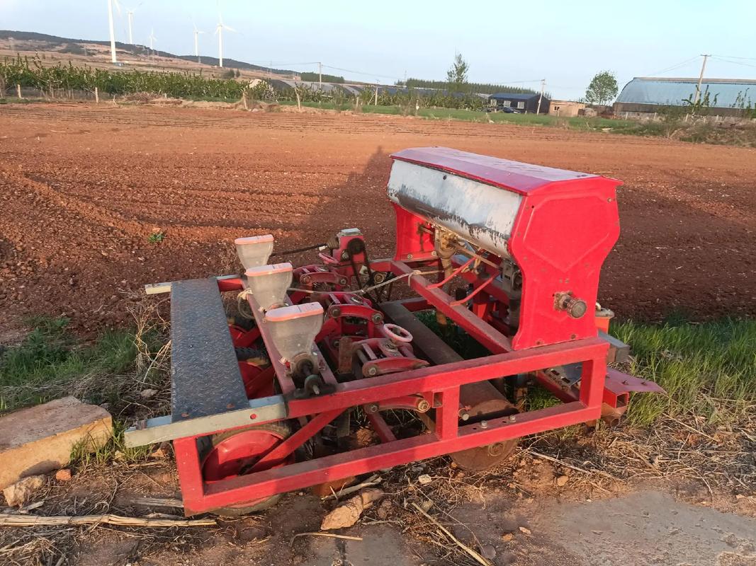 谷子套种技术如何提升产量效益？-图1