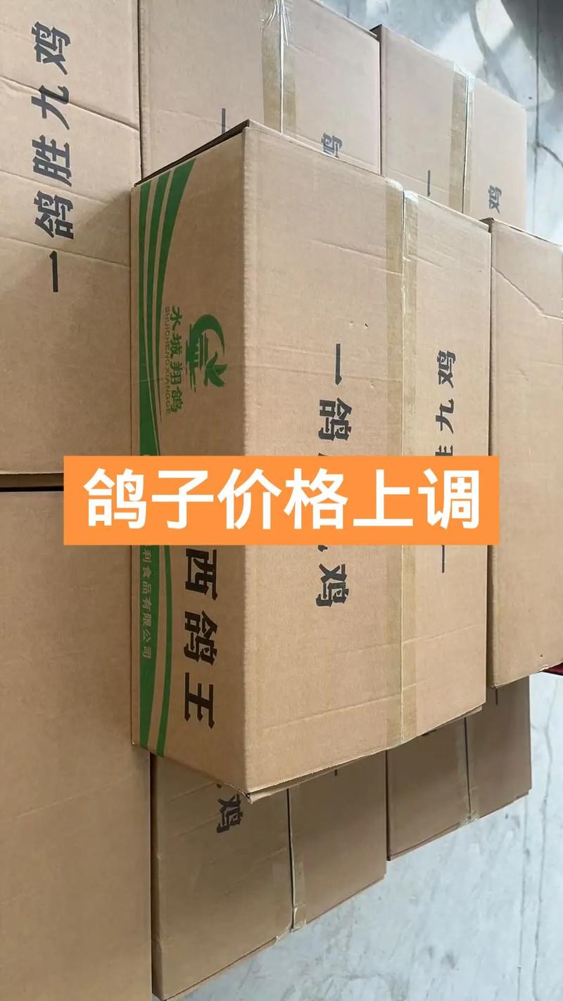 2025年肉鸽价格会涨还是跌？-图1