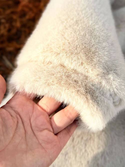 2025年进口貂价格会涨还是跌？-图1