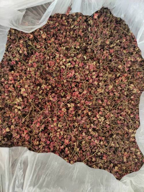 今日韩城花椒价格多少？-图3