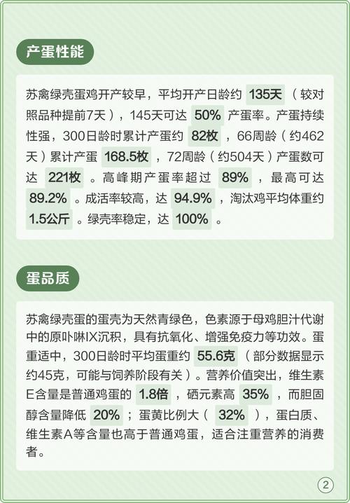 绿壳蛋鸡是哪个品种？-图3