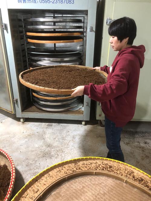 干草发酵技术视频哪里能下载？-图1