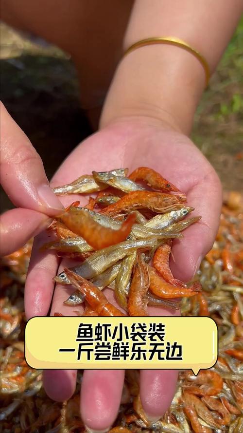 哪些观赏鱼虾品种最畅销？-图1