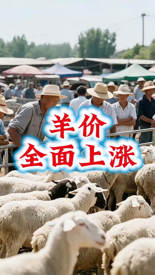 2025杭州羊肉价格会涨还是跌？-图2