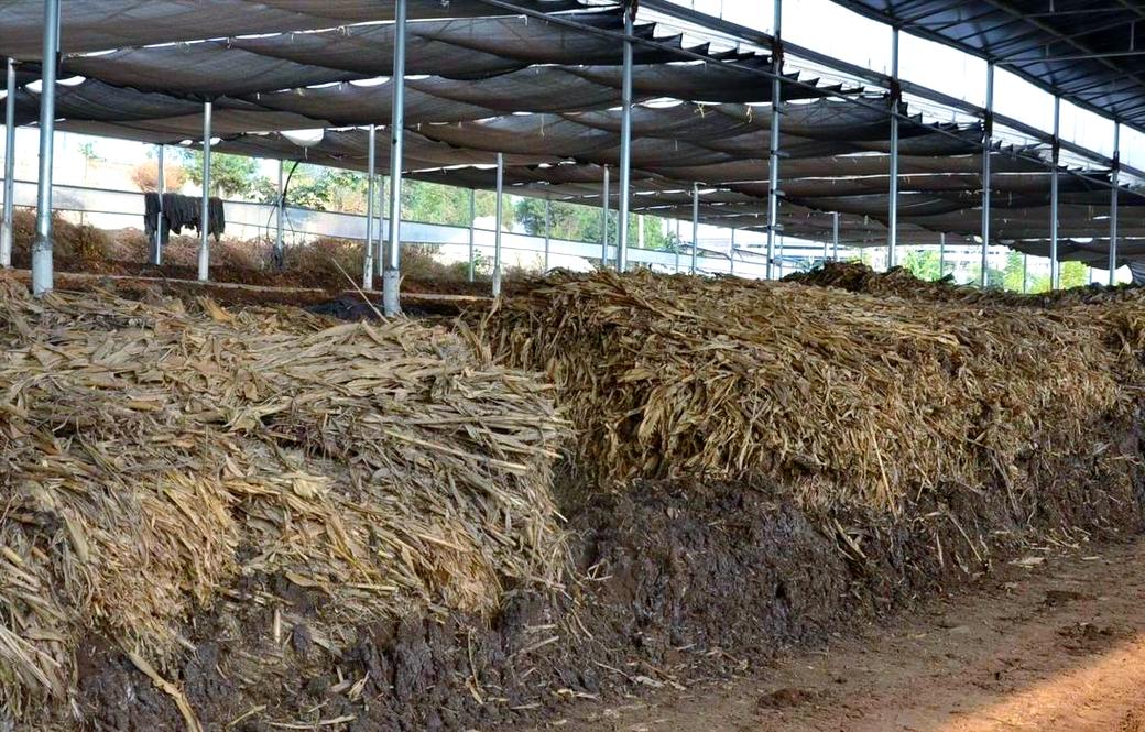 南方蚯蚓养殖技术视频，如何快速掌握核心要点？-图3