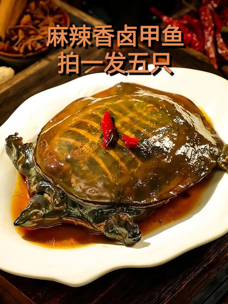 2025甲鱼官网价格会涨吗？-图1