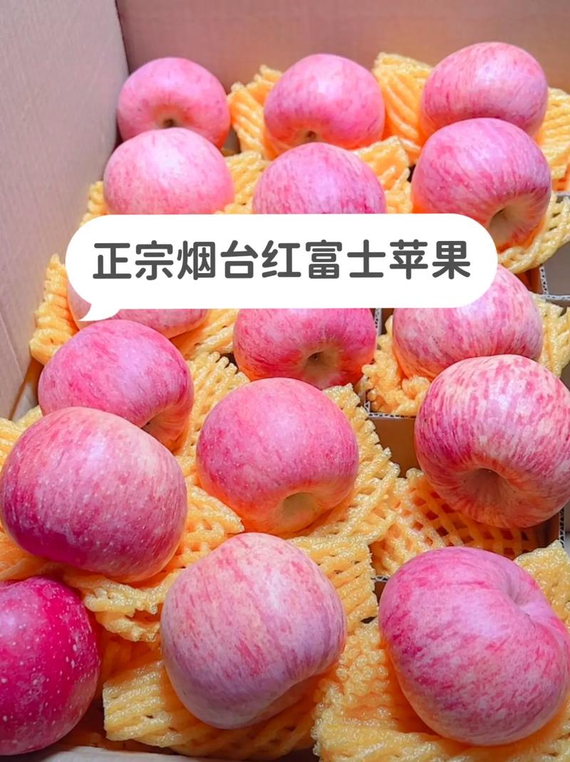 富士苹果哪里的品种最好？-图3